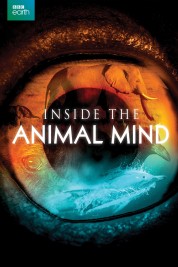 Watch Free Inside the Animal Mind Full Movies Bflix