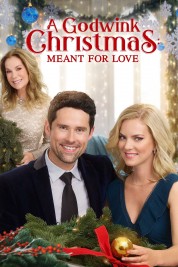 Watch Free A Godwink Christmas: Meant For Love Full Movies Bflix