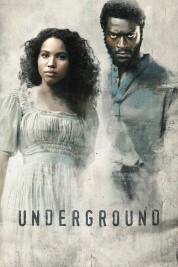 Watch Free Underground Full Movies Bflix