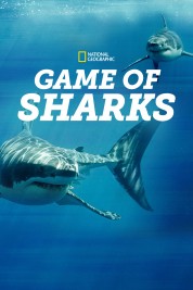 Watch Free Game of Sharks Full Movies Bflix