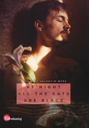 Watch Free At Night All the Cats Are Black Full Movies Bflix