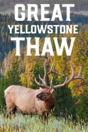 Great Yellowstone Thaw 2017