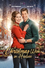 Watch Free A Christmas Wish in Hudson Full Movies Bflix