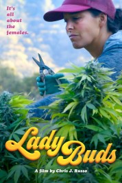 Watch Free Lady Buds Full Movies Bflix