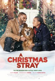 watch free A Christmas Stray hd online