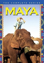 Watch Free Maya Full Movies Bflix