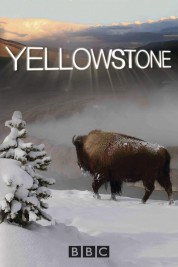 Watch Free Yellowstone Full Movies Bflix