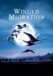 Watch Free Winged Migration Full Movies Bflix