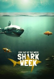 Watch Free Shark Week Full Movies Bflix