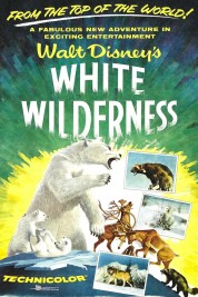 Watch Free White Wilderness Full Movies Bflix