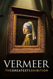 Watch Free Vermeer: The Greatest Exhibition Full Movies Bflix