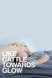 Watch Free Like Cattle Towards Glow Full Movies Bflix