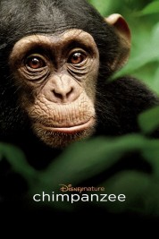 Watch free Chimpanzee HD online