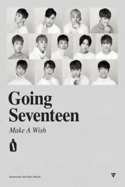 GOING SEVENTEEN 2017