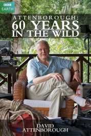 watch free Attenborough: 60 Years in the Wild hd online