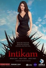 İntikam 2013