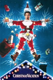 Watch Free National Lampoon's Christmas Vacation Full Movies Bflix