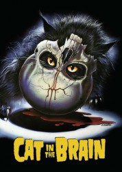 Watch Free A Cat in the Brain Full Movies Bflix