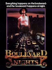 watch free Boulevard Nights hd online