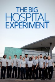 Watch Free The Big Hospital Experiment Full Movies Bflix