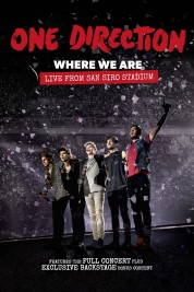 Watch Free One Direction: Where We Are - The Concert Movies HD Online Soap2Day