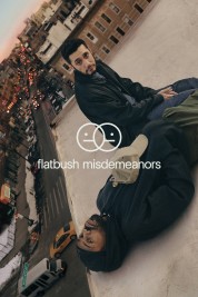 Watch Free Flatbush Misdemeanors Full Movies Bflix