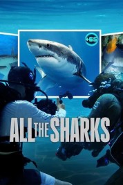 All the Sharks