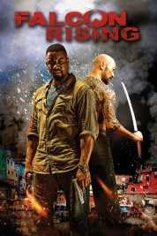 watch free Falcon Rising hd online