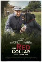 Watch Free The Red Collar Full Movies Bflix