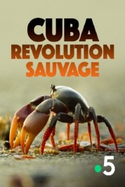 Cuba, révolution sauvage 2019