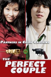 Watch free The Perfect Couple HD online