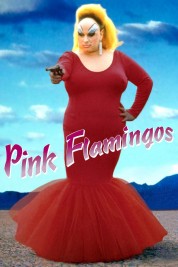 Watch free Pink Flamingos HD online