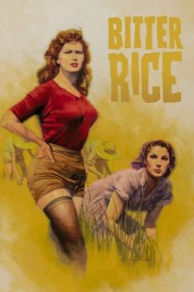 Watch Free Bitter Rice Full Movies Bflix