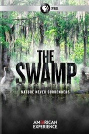 The Swamp 2019