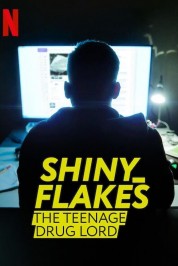 watch free Shiny_Flakes: The Teenage Drug Lord hd online