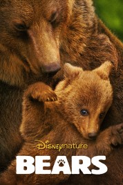 Watch Free Bears Full Movies Bflix