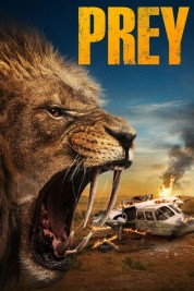 Watch Free Prey Full Movies Bflix