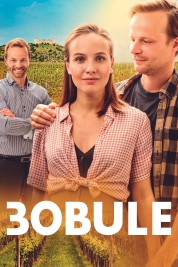 Watch Free 3Bobule Full Movies Bflix