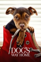 Watch Free A Dog's Way Home Full Movies Bflix