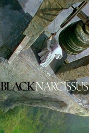 Watch Free Black Narcissus Full Movies Bflix