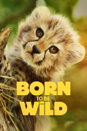 Watch Free Born to Be Wild Full Movies Bflix