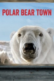 Watch Free Polar Bear Town Full Movies Bflix