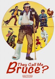 Watch Free They Call Me Bruce? Full Movies Bflix