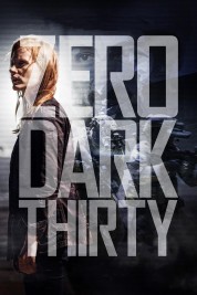 watch free Zero Dark Thirty hd online