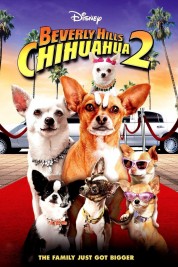 Watch Free Beverly Hills Chihuahua 2 Full Movies Bflix