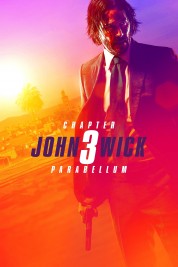 watch free John Wick: Chapter 3 – Parabellum hd online