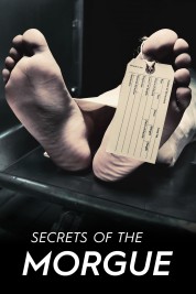 Watch Free Secrets of the Morgue Full Movies Bflix