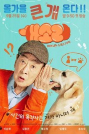 watch free Dog Knows Everything hd online