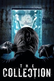 Watch Free The Collection Full Movies Bflix