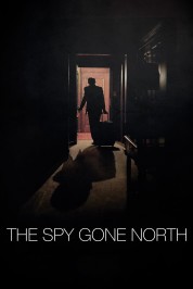 Watch Free The Spy Gone North Full Movies Bflix